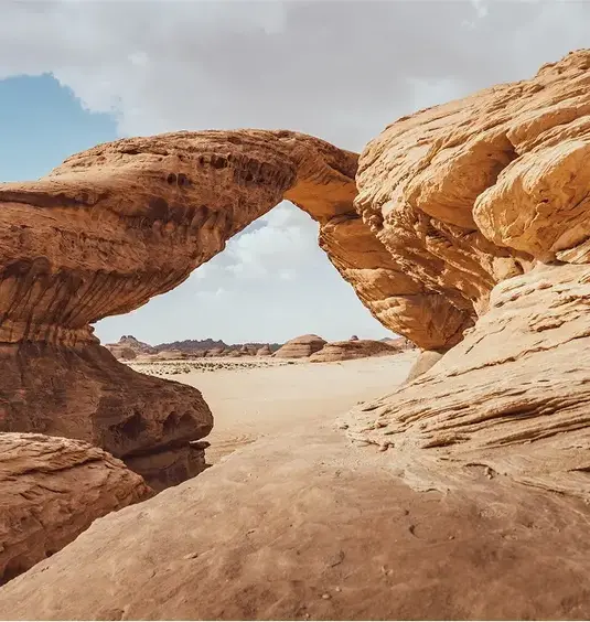 Landscape
